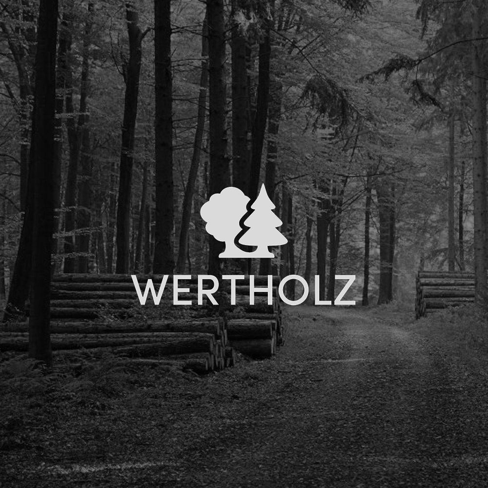 WELZ Capital group company activity across technology, forestry and agriculture.